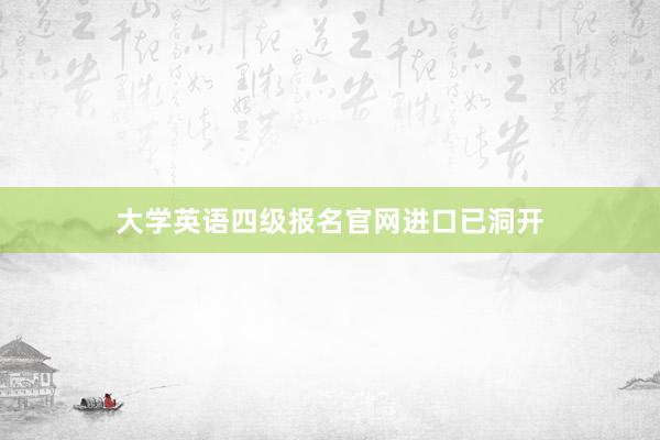 大学英语四级报名官网进口已洞开